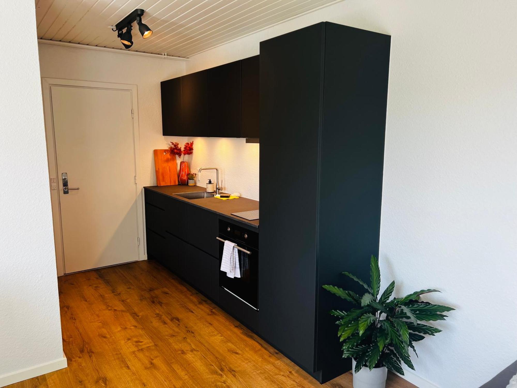 דירות Cozy Flats Silkeborg - 1Th מראה חיצוני תמונה
